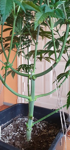 Growreport Bild 10