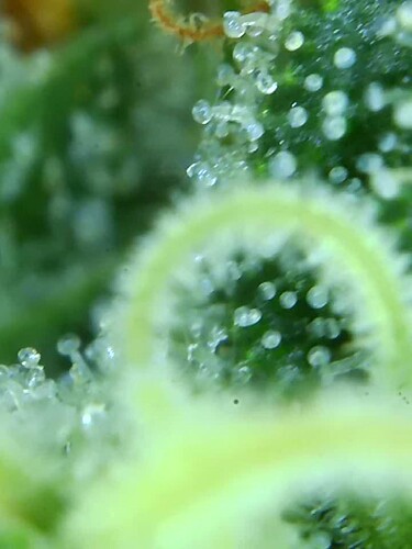 Growreport Bild 24