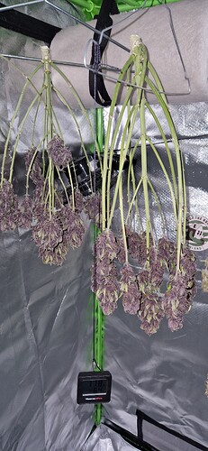 Growreport Bild 2