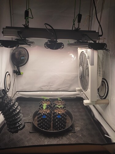 Growreport Bild 9