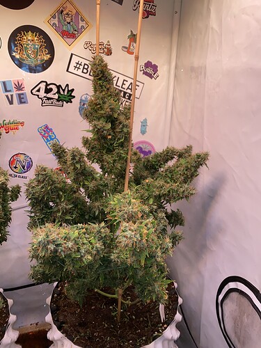 Growreport Bild 2