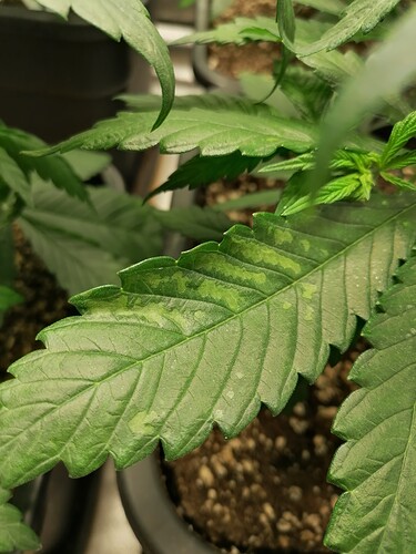 Growreport Bild 16