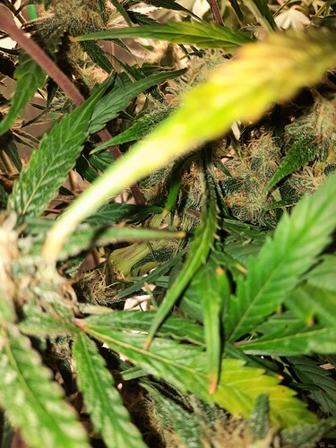 Growreport Bild 18