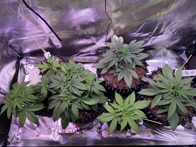 Growreport Bild 13