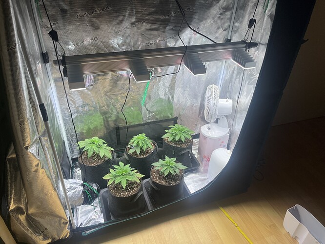 Growreport Bild 6