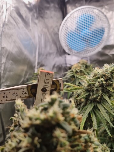Growreport Bild 10