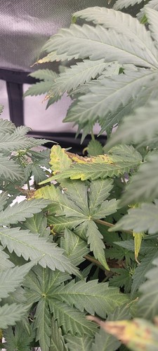 Growreport Bild 19