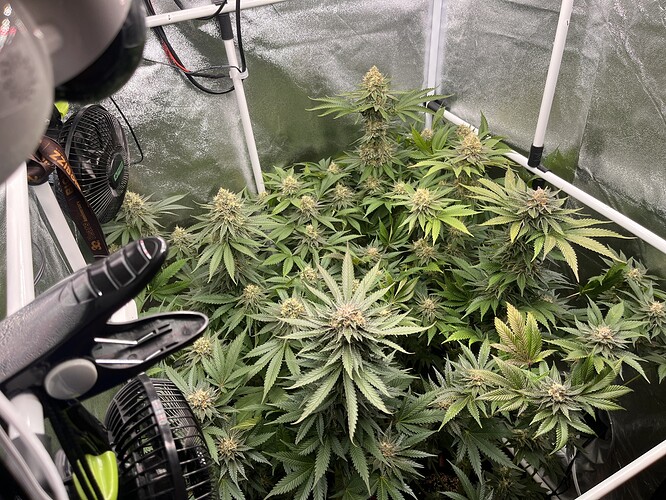 Growreport Bild 12
