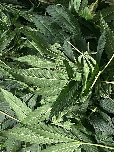 Growreport Bild 4