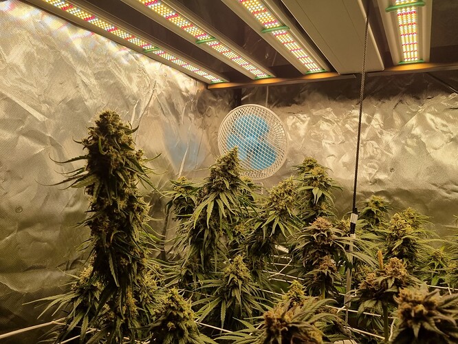 Growreport Bild 24