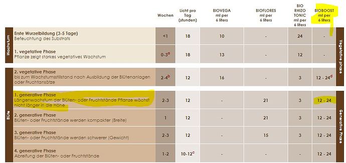 schema