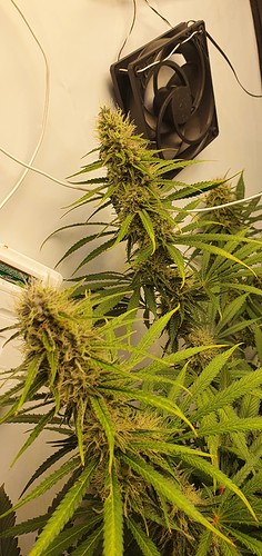 Growreport Bild 17