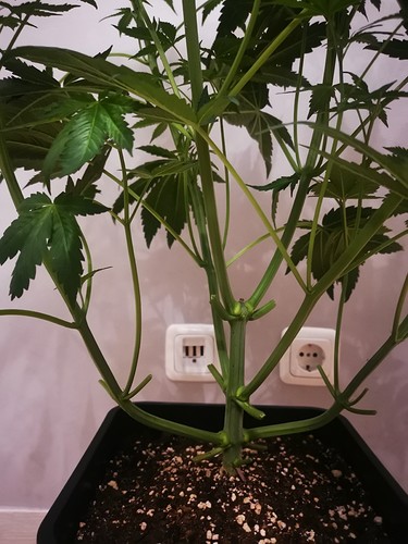 Growreport Bild 10