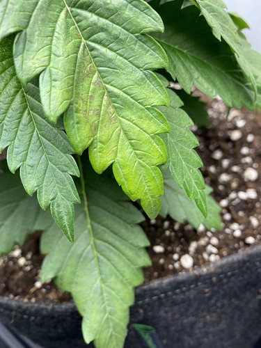 Growreport Bild 8
