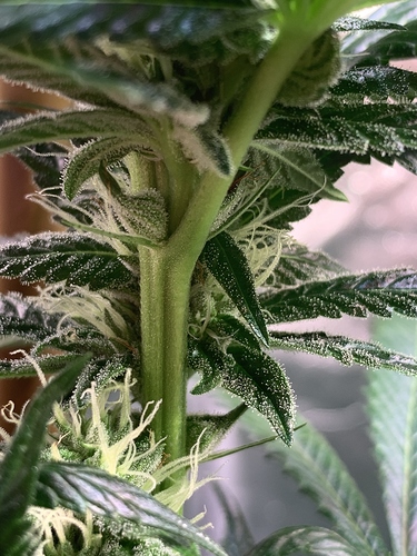 Growreport Bild 10