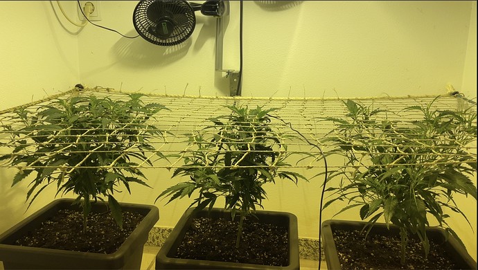 Growreport Bild 14