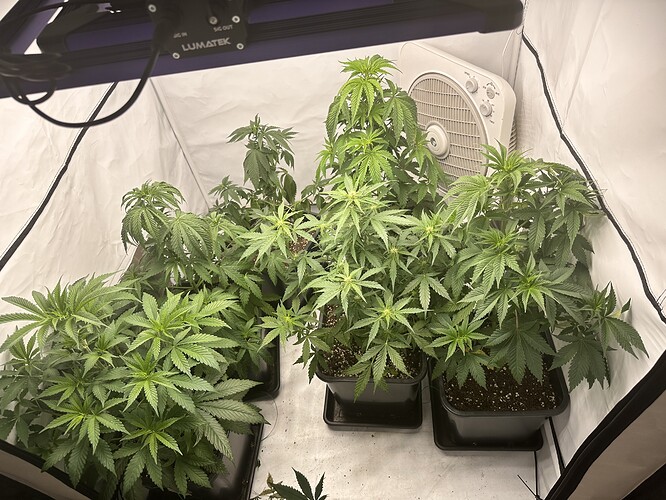 Growreport Bild 2