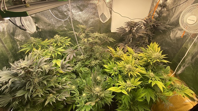 Growreport Bild 7
