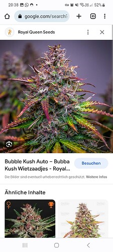 Screenshot_20230817_203817_Chrome