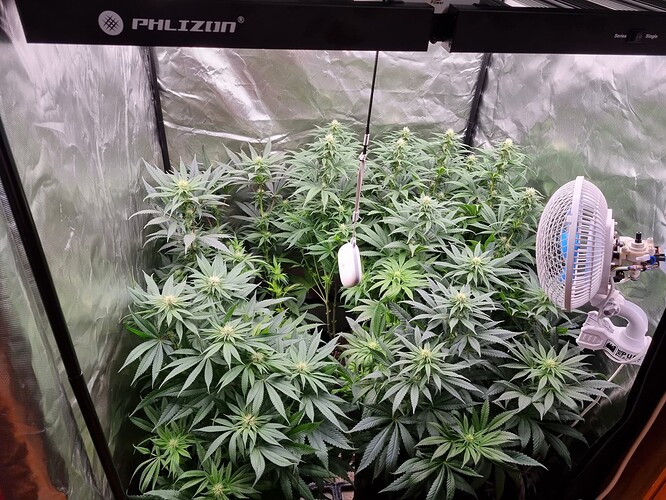 Growreport Bild 33