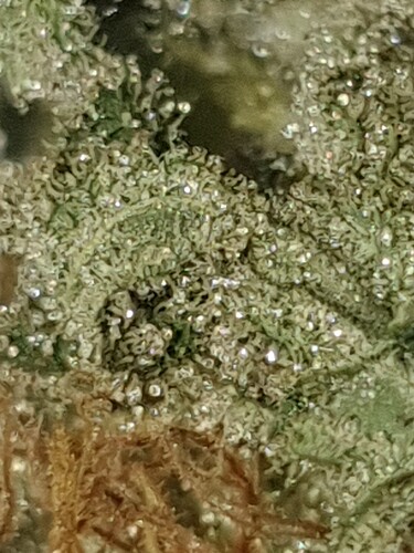 Growreport Bild 17