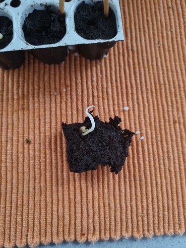 Growreport Bild 21