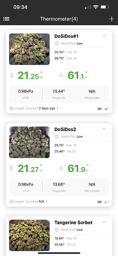 Growreport Bild 19