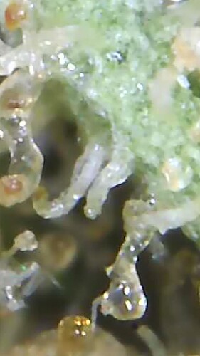 2022_03_10_04_33_24_073