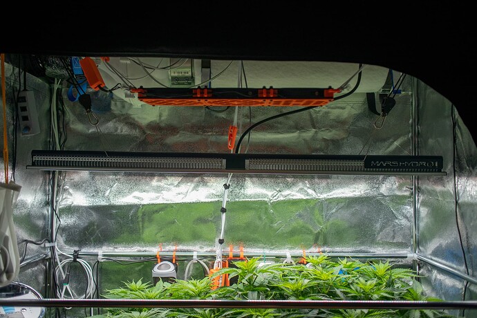 Growreport Bild 7