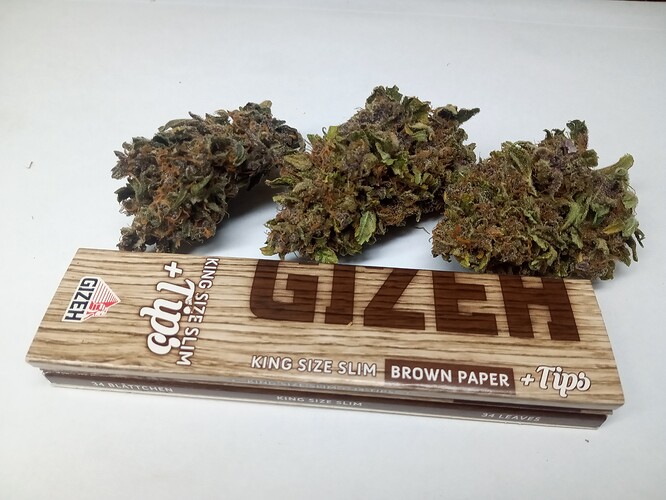 Growreport Bild 3