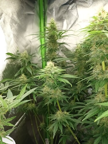Growreport Bild 10