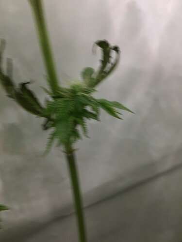 Growreport Bild 12