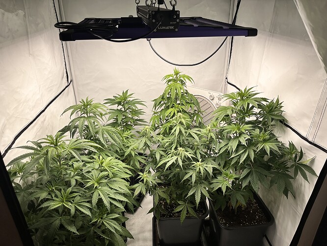 Growreport Bild 12