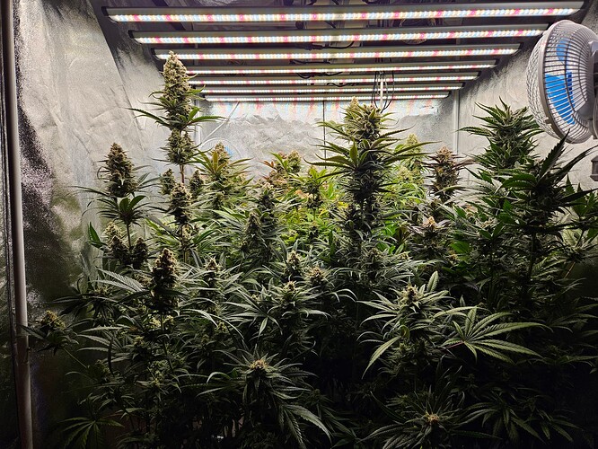 Growreport Bild 12