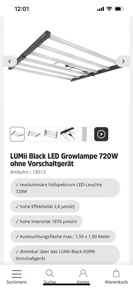 Erster Grow mixed Plants