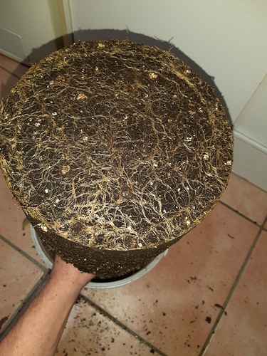 Growreport Bild 14
