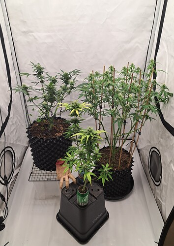 Growreport Bild 12