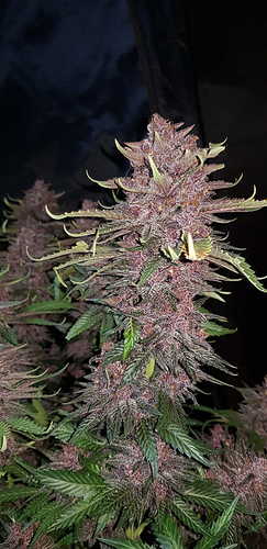 e3624352e3798614cebe91