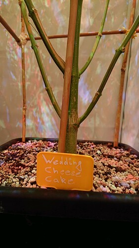 Growreport Bild 5