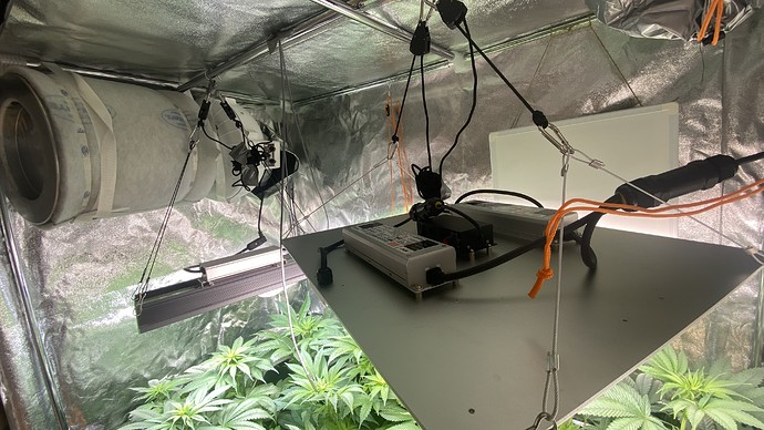 Growreport Bild 7