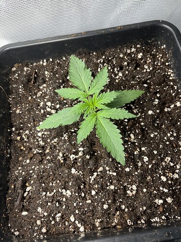 Growreport Bild 8