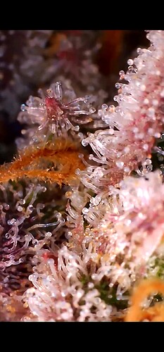 Growreport Bild 10