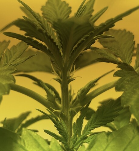 Growreport Bild 12