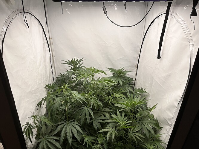 Growreport Bild 4