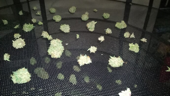 Growreport Bild 1