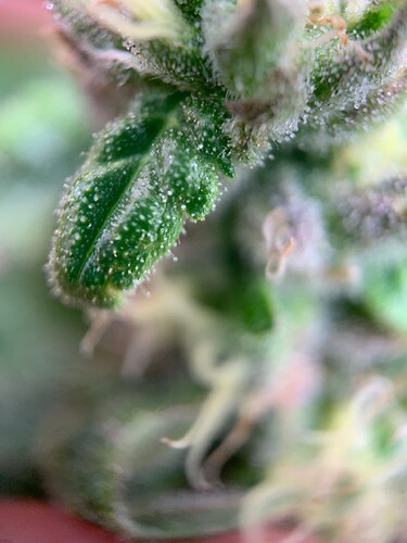 Growreport Bild 18