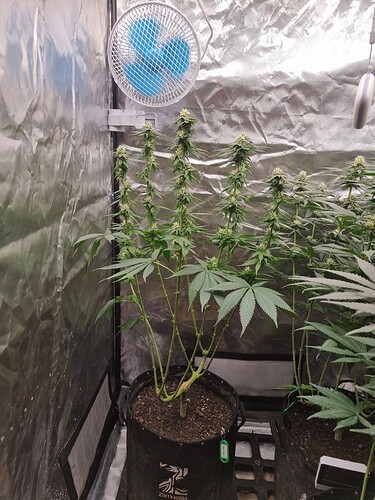 Growreport Bild 17