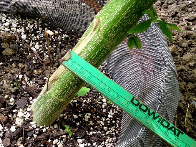 Growreport Bild 22