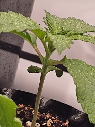 Growreport Bild 14