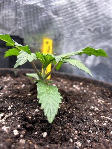 Growreport Bild 150